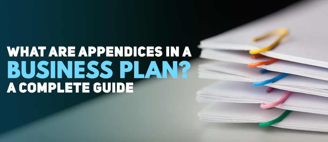 What Are Appendices in a Business Plan? A Complete Guide